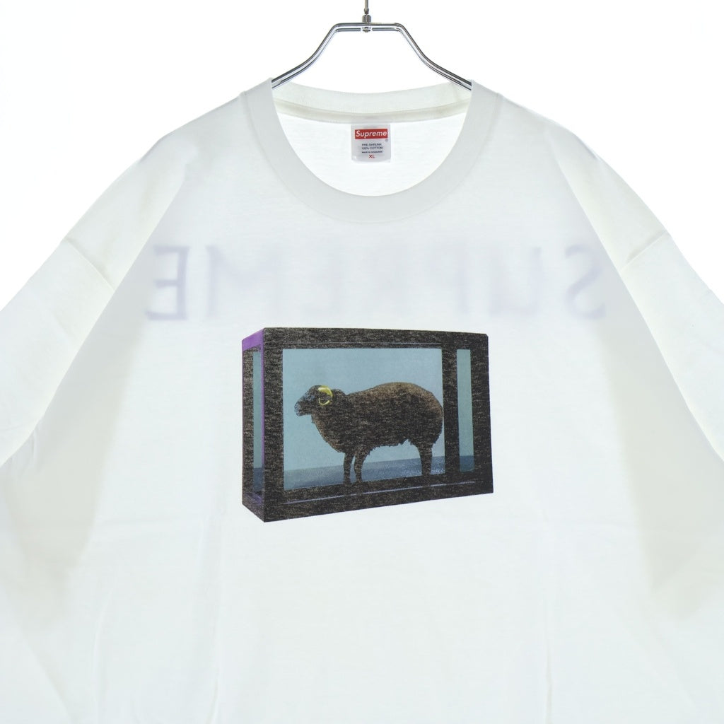 SUPREME(シュプリーム) 25SS Damien Hirst Tee ダミアンハースト プリントロゴ 半袖Tシャツ カットソー ホワイト