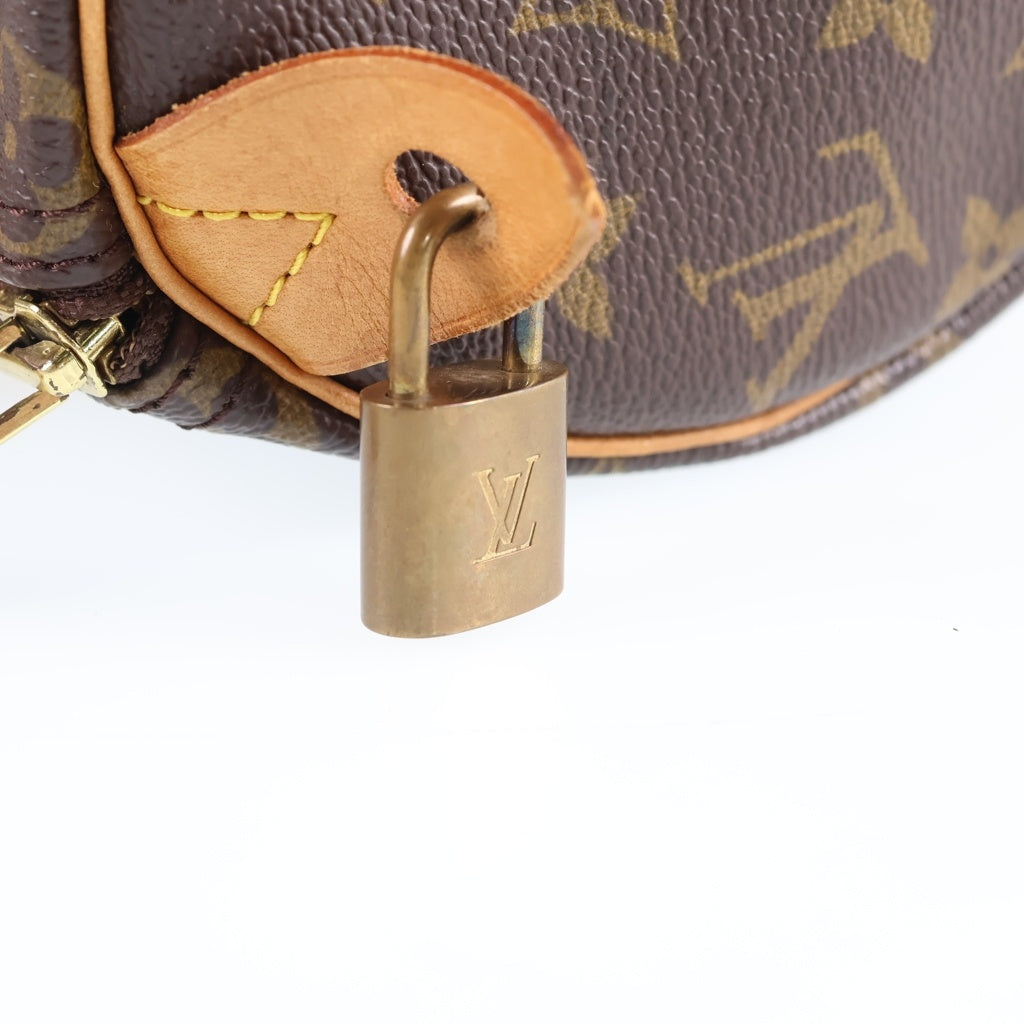 LOUIS VUITTON(ルイヴィトン) モノグラム スピーディ25 ハンドバッグ ミニボストンバッグ ブラウン レザー×PVC M41528 ゴールド金具 レディース
