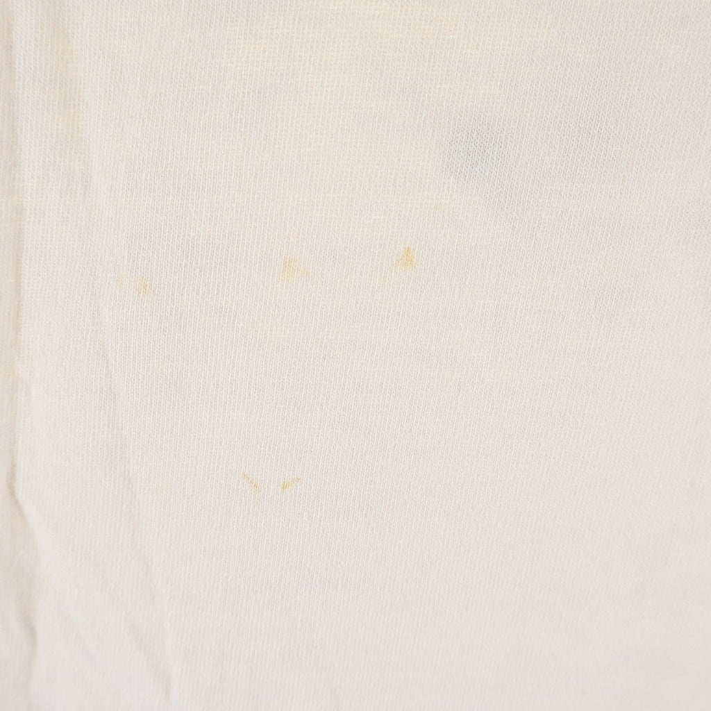 STUSSY(ステューシー) 90s OLD International S/S Tee インターナショナル 半袖Tシャツ カットソー 紺タグ ベージュ