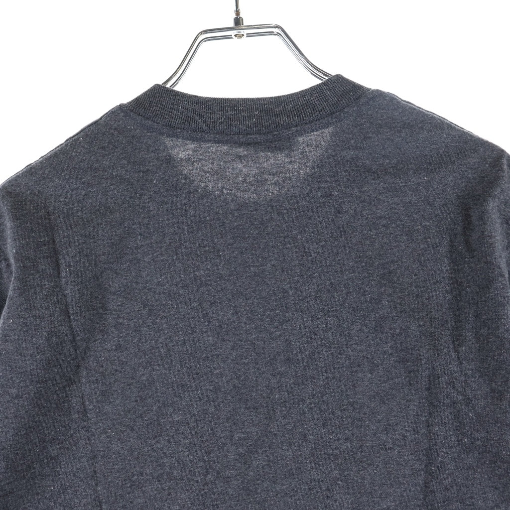 STUSSY(ステューシー) 00s OLD Apple Mac Think International アップルパロディロゴ 半袖Tシャツ カットソー 銀タグ グレー