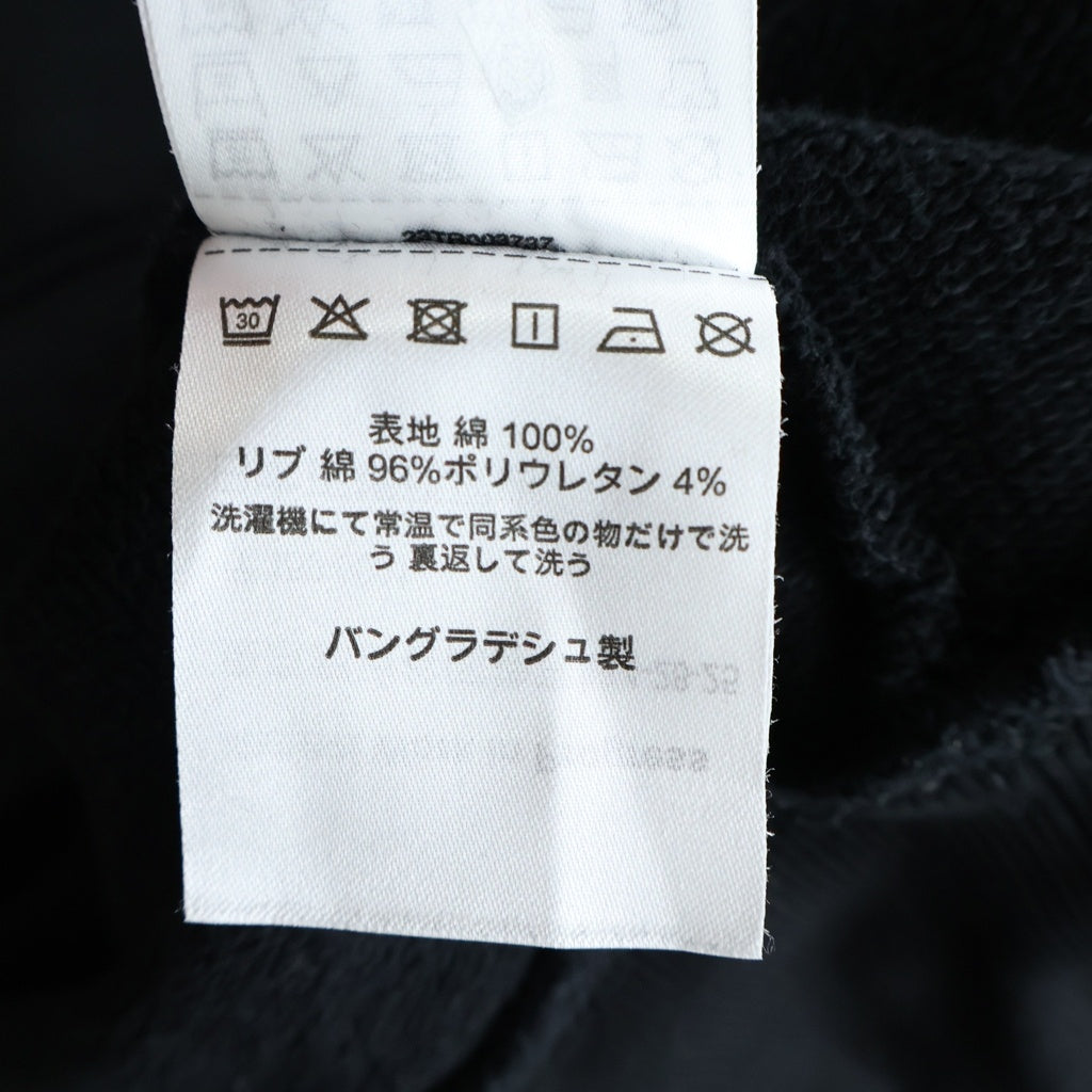 CARHARTT(カーハート) Hooded Onyx Script Sweatshirt プルオーバーパーカー 刺繍 コットン ブラック