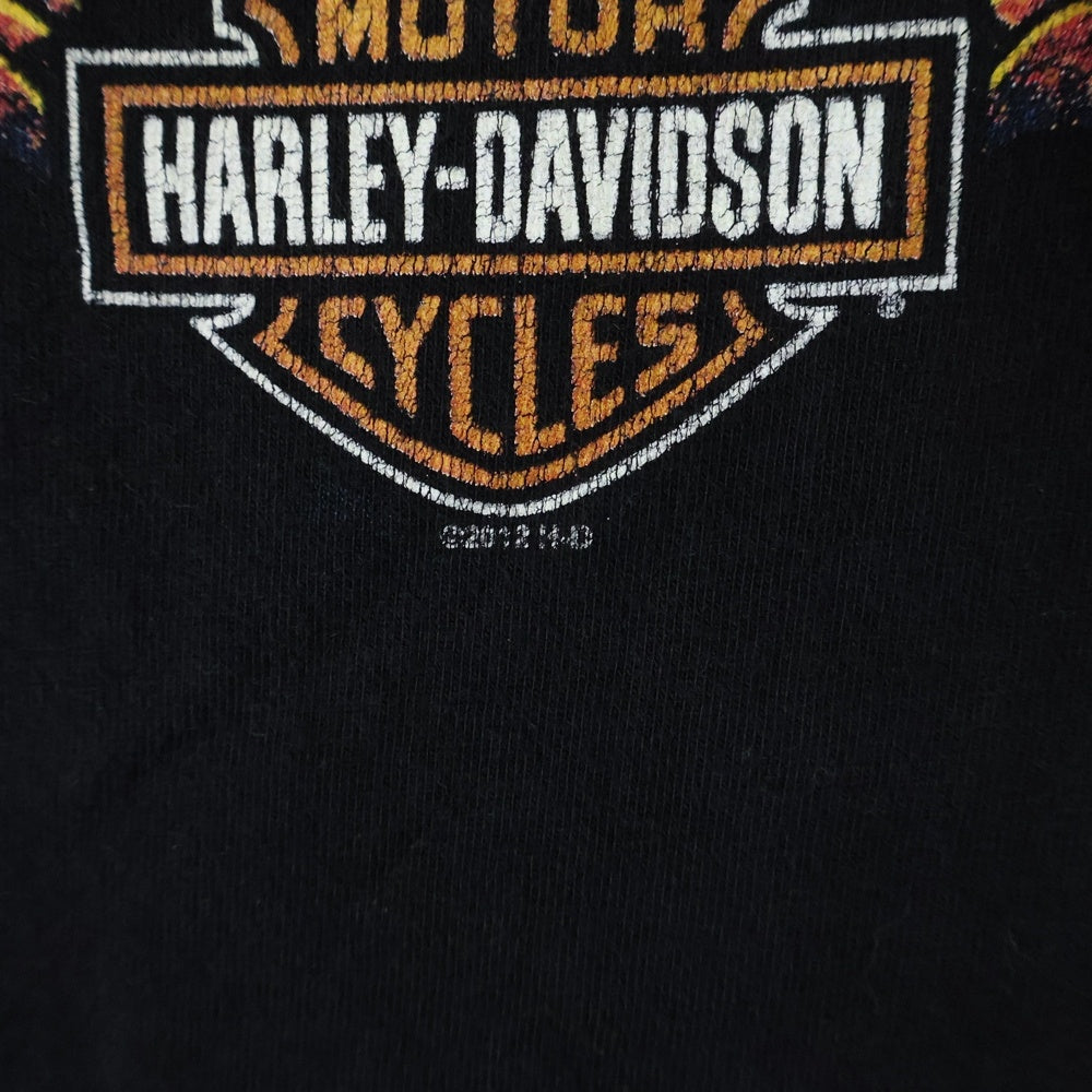 HARLEY DAVIDSON(ハーレーダビッドソン) 12s pumpkin skull tee パンプキンプリント 半袖クルーネックTシャツ ブラック