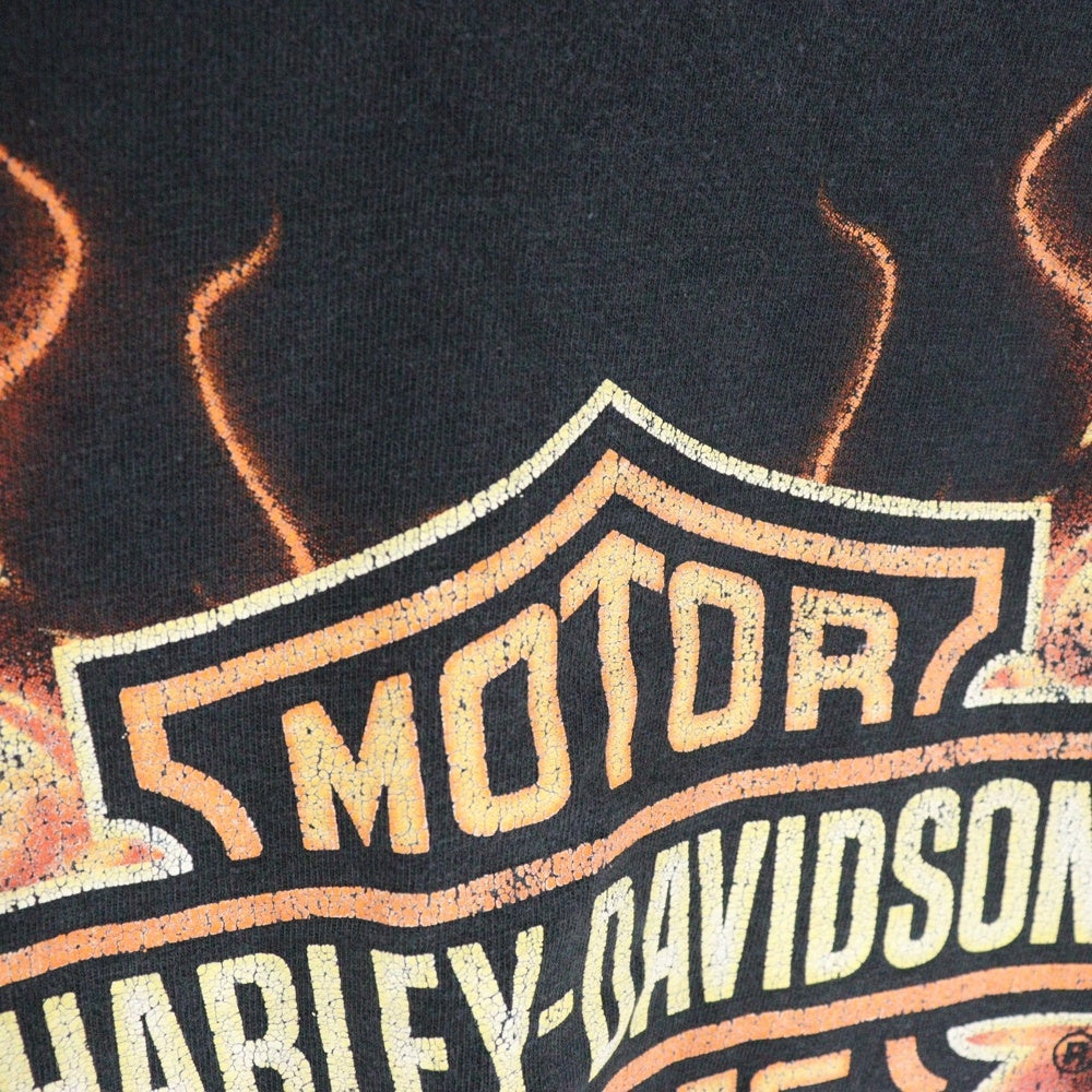 HARLEY DAVIDSON(ハーレーダビッドソン) 11s FLAMES L/S TEE ハーレーダビッドソン フレイムス 長袖ファイヤー クルーネックTシャツ ブラック