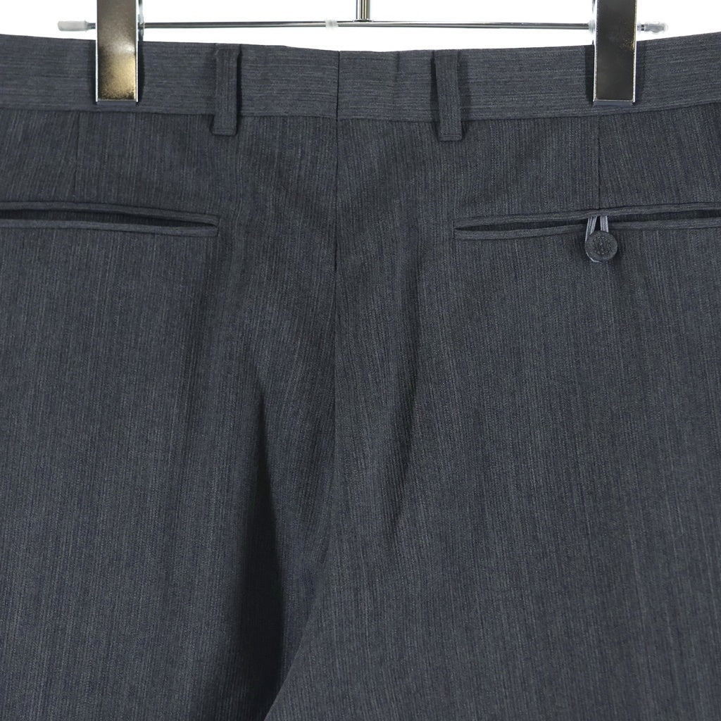 DIOR(ディオール) センタープレス ストライプ スラックス パンツ グレー 513C101A6460
