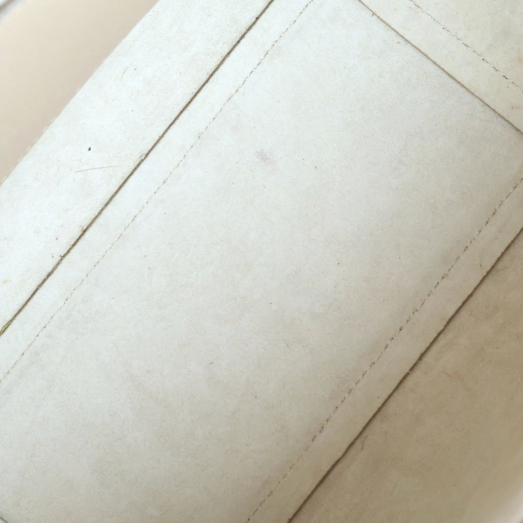 CELINE(セリーヌ) ベルトバッグ マイクロ ショルダーバッグ 2wayバック レザー ベージュ レディース