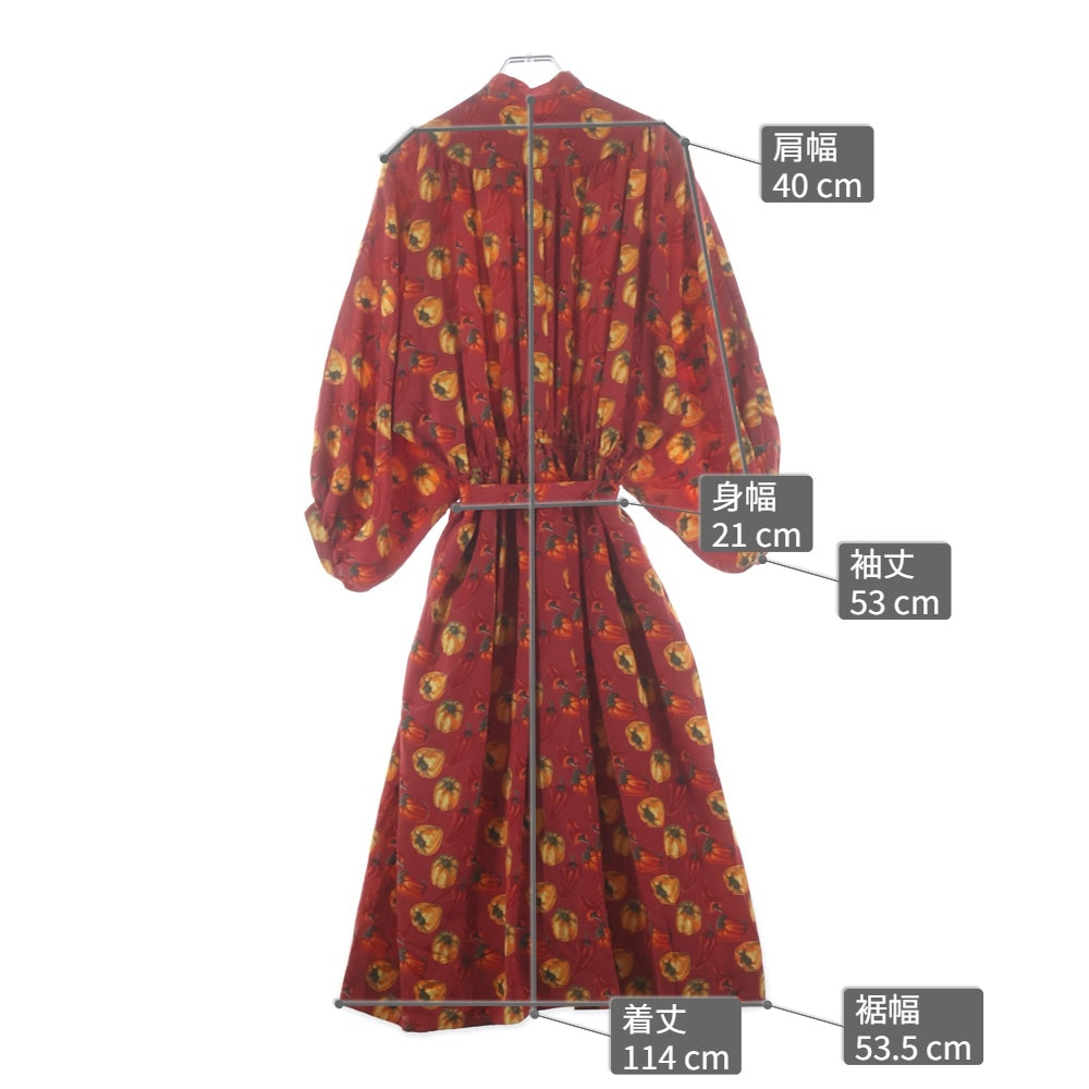HANAE MORI(ハナエモリ) PARIS ハナエ モリ トウガラシ総柄プリント 長袖ロングワンピース レッド レディース 7 ベルト