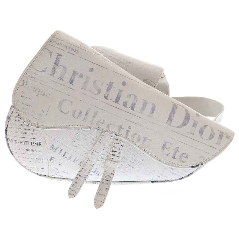 Christian Dior(クリスチャンディオール) ×Daniel Arsham ダニエルアーシャム トロッター レザー サドルバッグ ショルダーバッグ