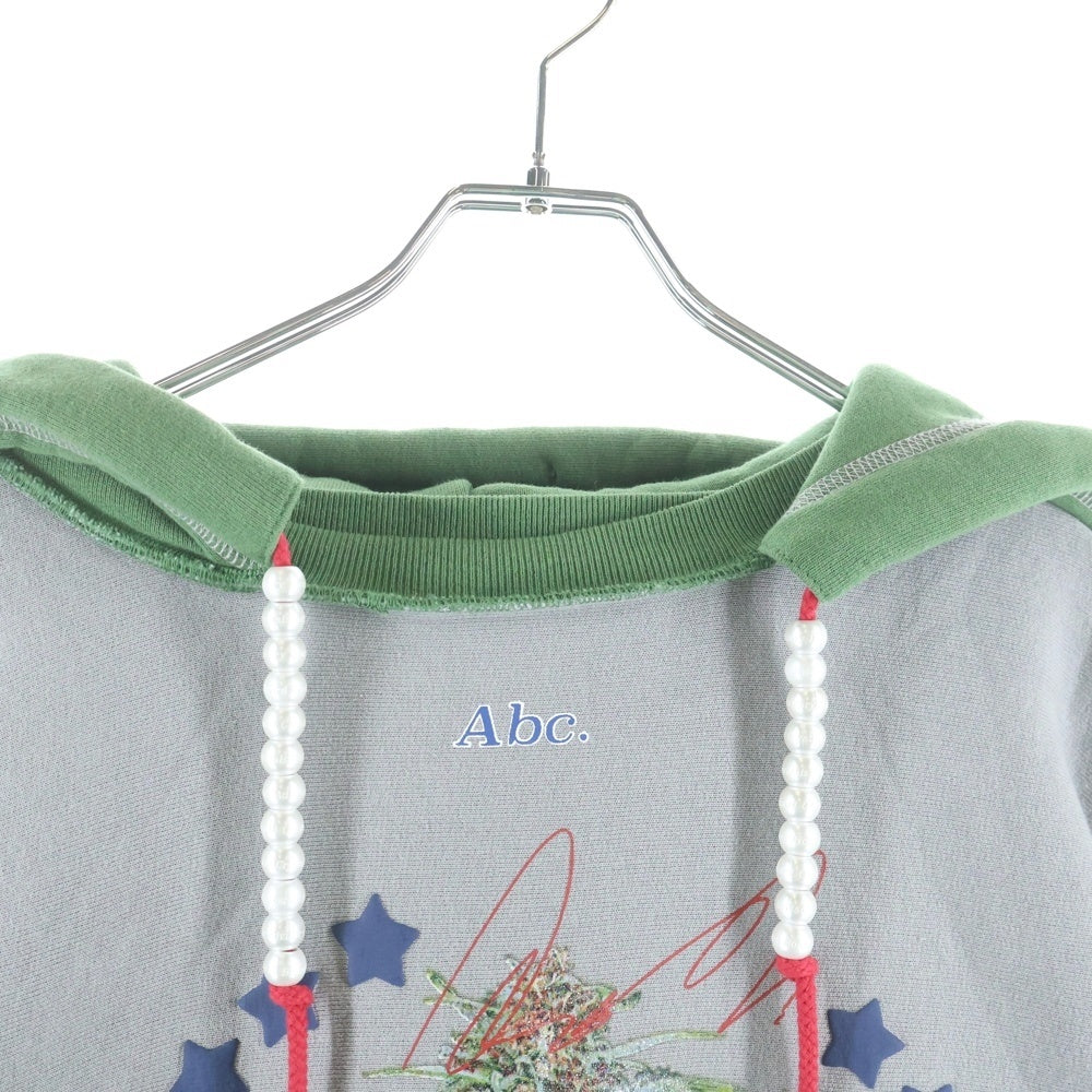 Advisory Board Crystals(アドバイザリー ボード クリスタルズ) 23AW American Consciousness Hoodie アメリカン コンシャスネス フーディー グレー/グリーン