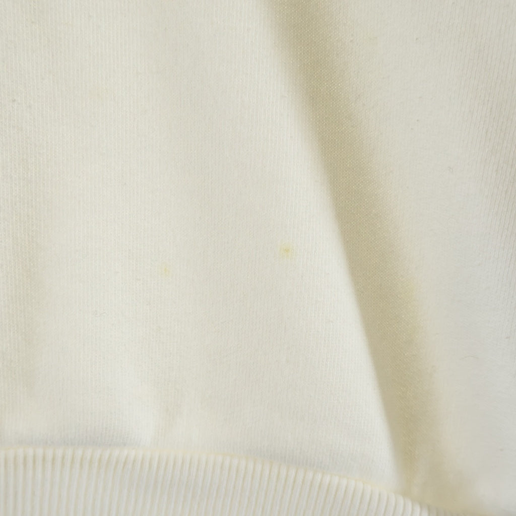 Acne Studios(アクネ ストゥディオズ) 24SS Logo Hoodie Sweater ダメージ加工 ロゴフーディ スウェットパーカー ホワイト