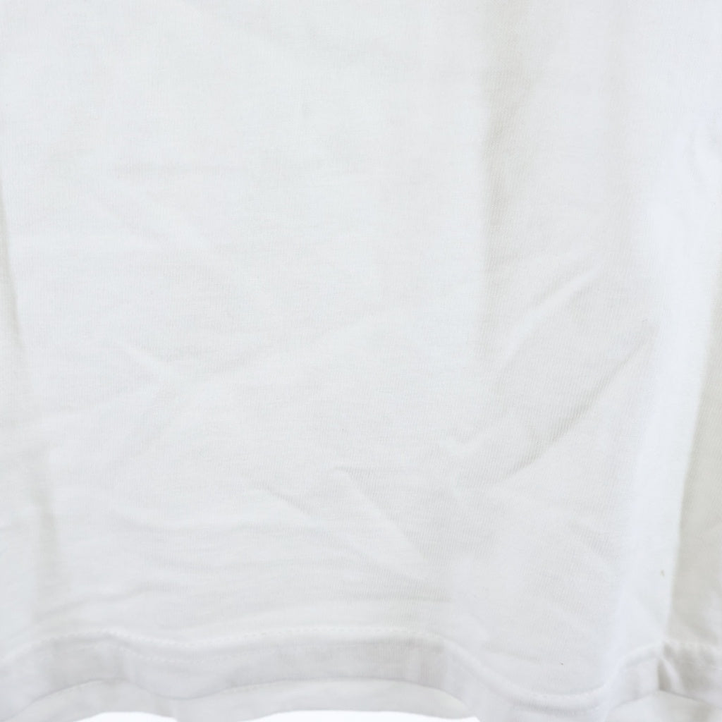 SUPREME(シュプリーム) 20AW ×ANTIHERO ICE TEE アンタイヒーロー アイス 半袖Tシャツ カットソー ホワイト