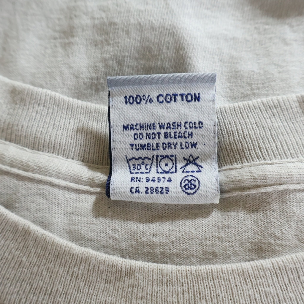 STUSSY(ステューシー) 90S~00S ×sk8thing 銀タグ USA製 ロゴ グラフィック プリント 半袖 Tシャツ カットソー グレー