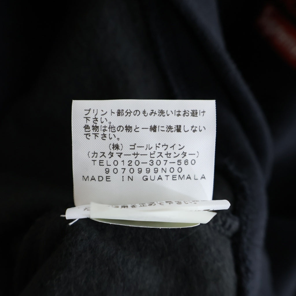 SUPREME(シュプリーム) 19AW ×THE NORTH FACE Statue of Liberty Hooded Sweatshirt 自由の女神 スウェットプルオーバーパーカー NT61906I