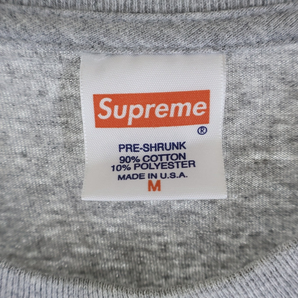 SUPREME(シュプリーム) 14AW Krs One Tee KRSワン フォトプリント 半袖Tシャツ カットソー グレー