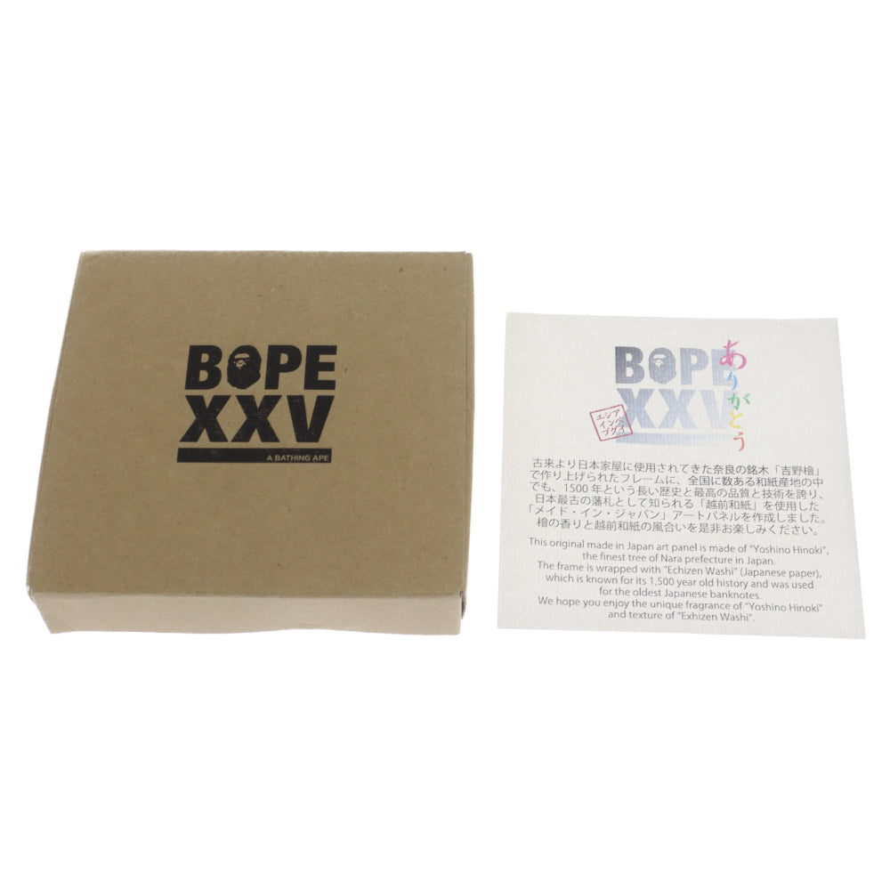 A BATHING APE(アベイシングエイプ) JAPANESE XXV PAPER PANEL 25周年 ペーパーパネル ノベルティ 総柄 マルチカラー