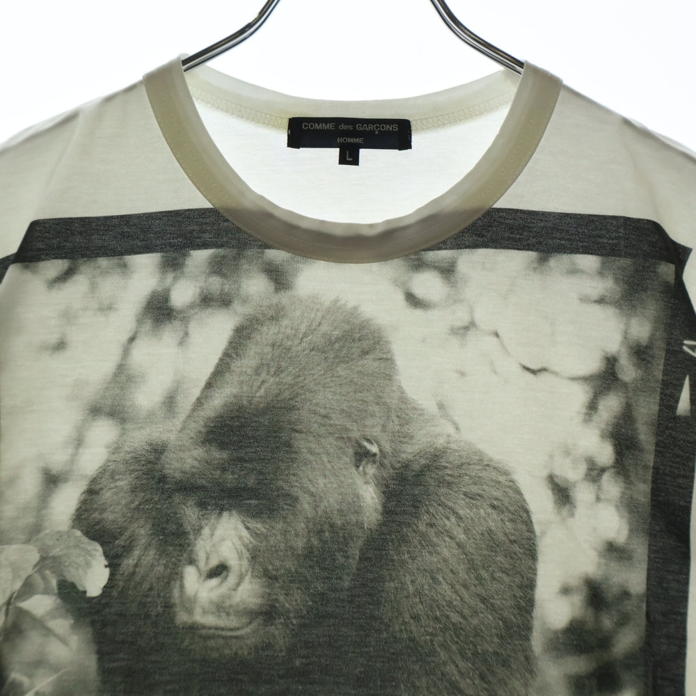 COMME des GARCONS HOMME(コムデギャルソンオム) 20AW AD2020 ゴリラ フォトプリント 半袖 カットソー Tシャツ ホワイト HF-T031