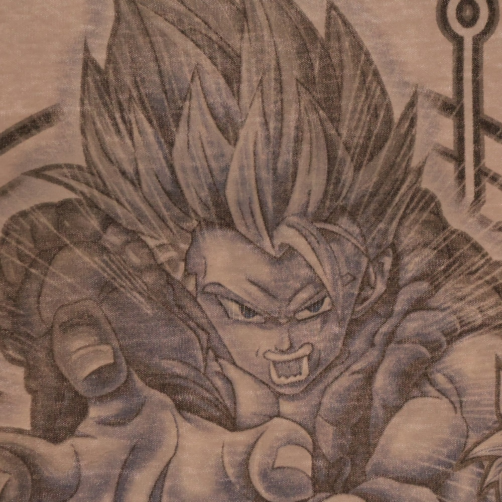 VINTAGE(ヴィンテージ) 00S VINTAGE DRAGONBALL Z TEE ヴィンテージ ドラゴンボールゼット 孫悟空 ベジータ ゴジータ 両面プリントTシャツ 半袖クルーネックカットソー アイボリー