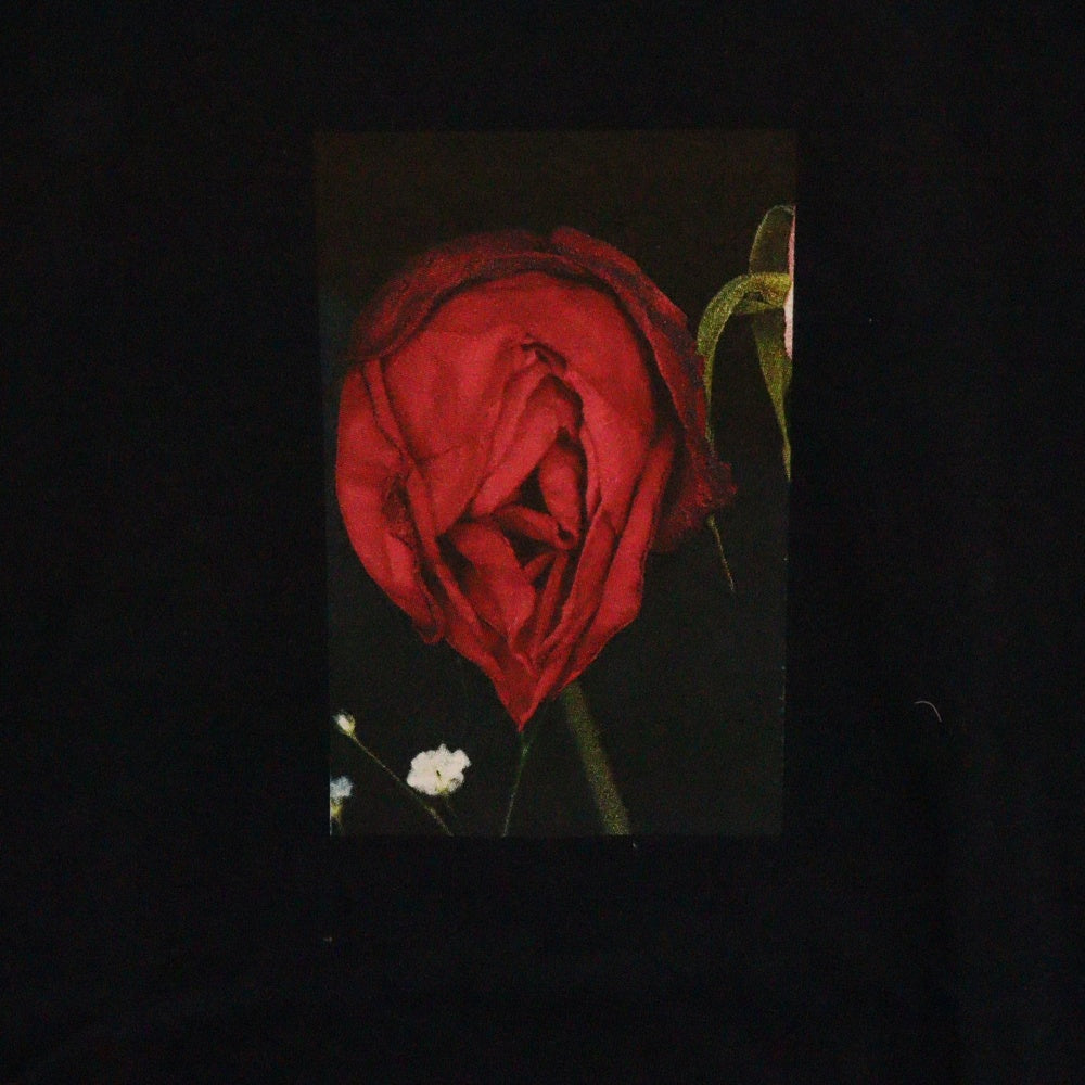 SUPREME(シュプリーム) 16AW Araki Rose Tee アラキローズ フォトプリントTシャツ 半袖クルーネックカットソー ブラック