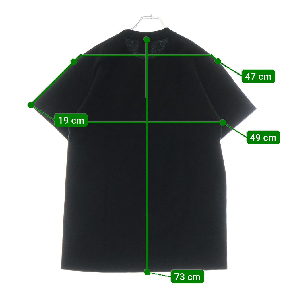 A BATHING APE(アベイシングエイプ) 90-00S フロントロゴプリント クルーネック 半袖Tシャツ カットソー ブラック