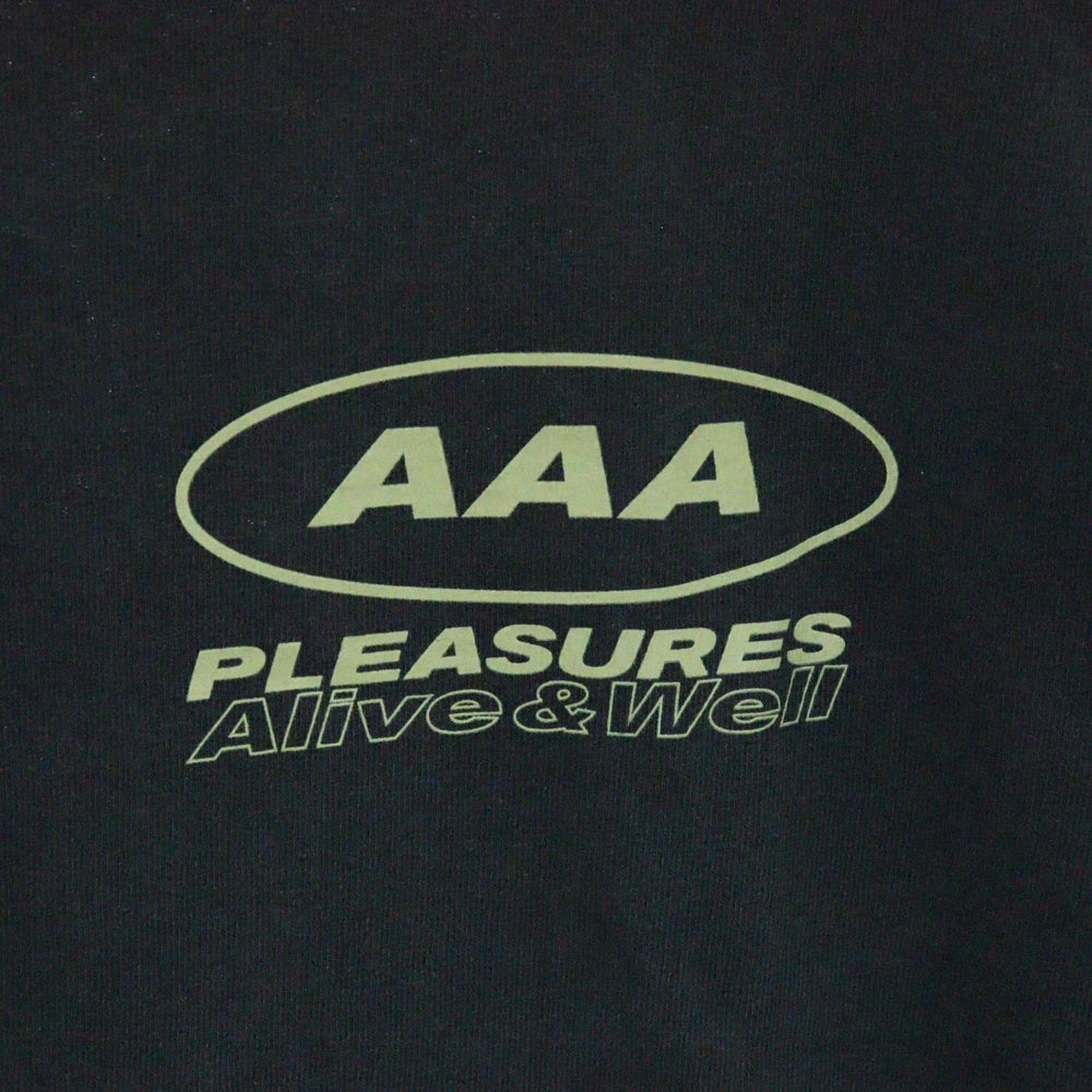 PLEASURES(プレジャーズ) グラフィックプロント クルーネック 半袖Tシャツ カットソー グレー