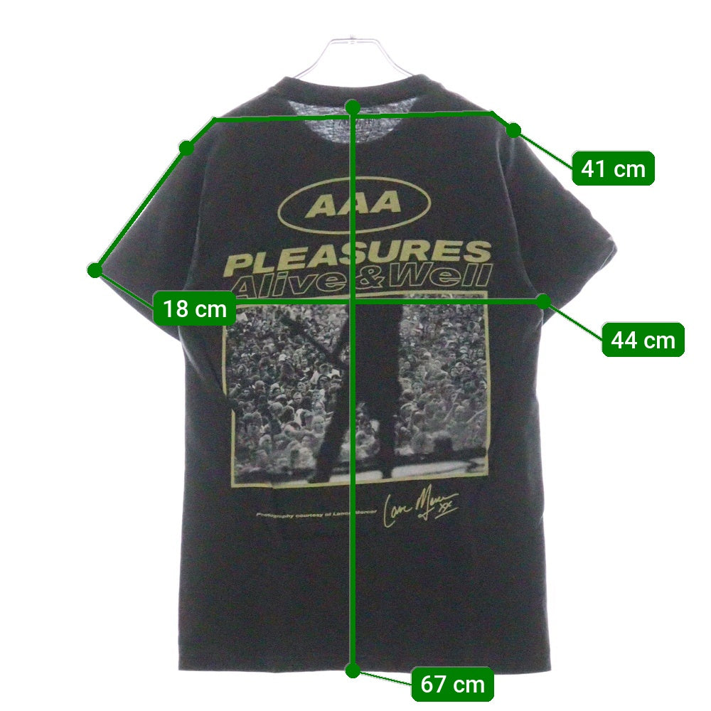 PLEASURES(プレジャーズ) グラフィックプロント クルーネック 半袖Tシャツ カットソー グレー