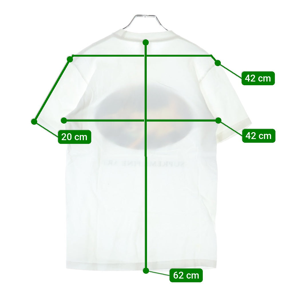 SUPREME(シュプリーム) 19SS Leda And The Swan Tee レダ アンド スワン クルーネック カットソー 半袖Tシャツ ホワイト