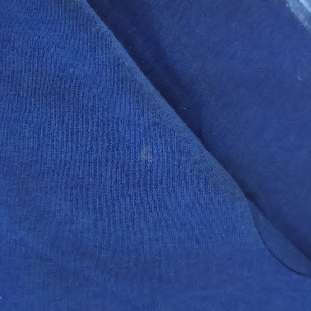 VINTAGE(ヴィンテージ) 00S VINTAGE blur BEETLEBUM ヴィンテージ ブラー ビートルバム フロントプリント 半袖Tシャツ カットソー ブルー