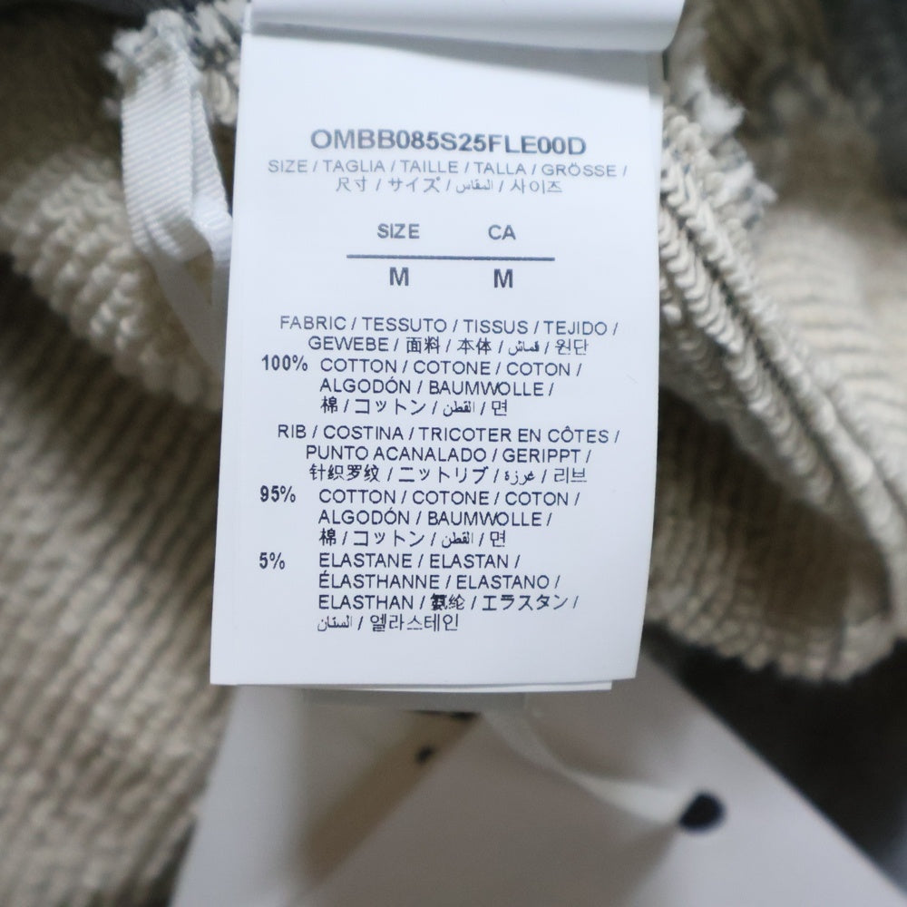 OFF-WHITE(オフホワイト) 25SS Starry Arrow Hoodie バックスター アロープリント フーディ プルオーバースウェットパーカー グレー OMBB085S25FLE00D