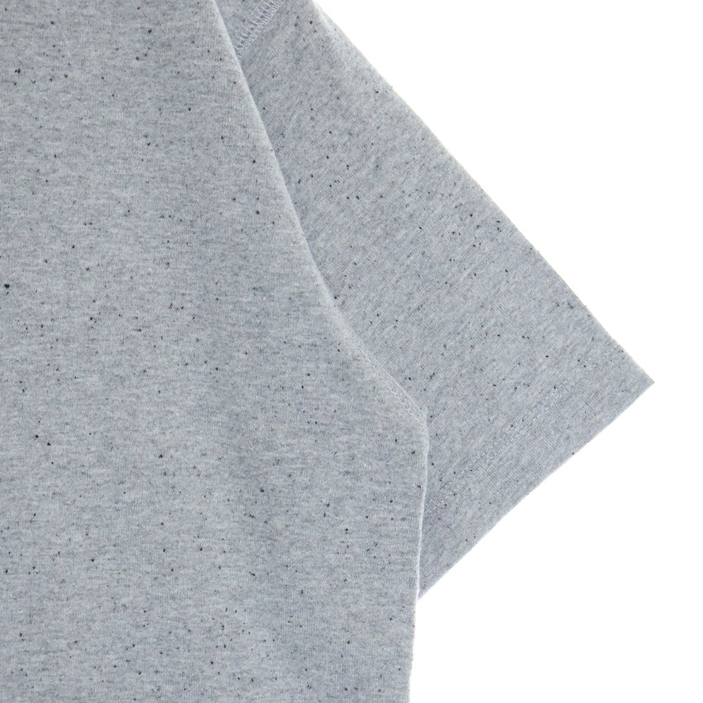 NANGA(ナンガ) ECO HYBRID DAILY TEE エコ ハイブリッド デイリー クルーネック半袖Tシャツ カットソー グレー NW2211-1G214