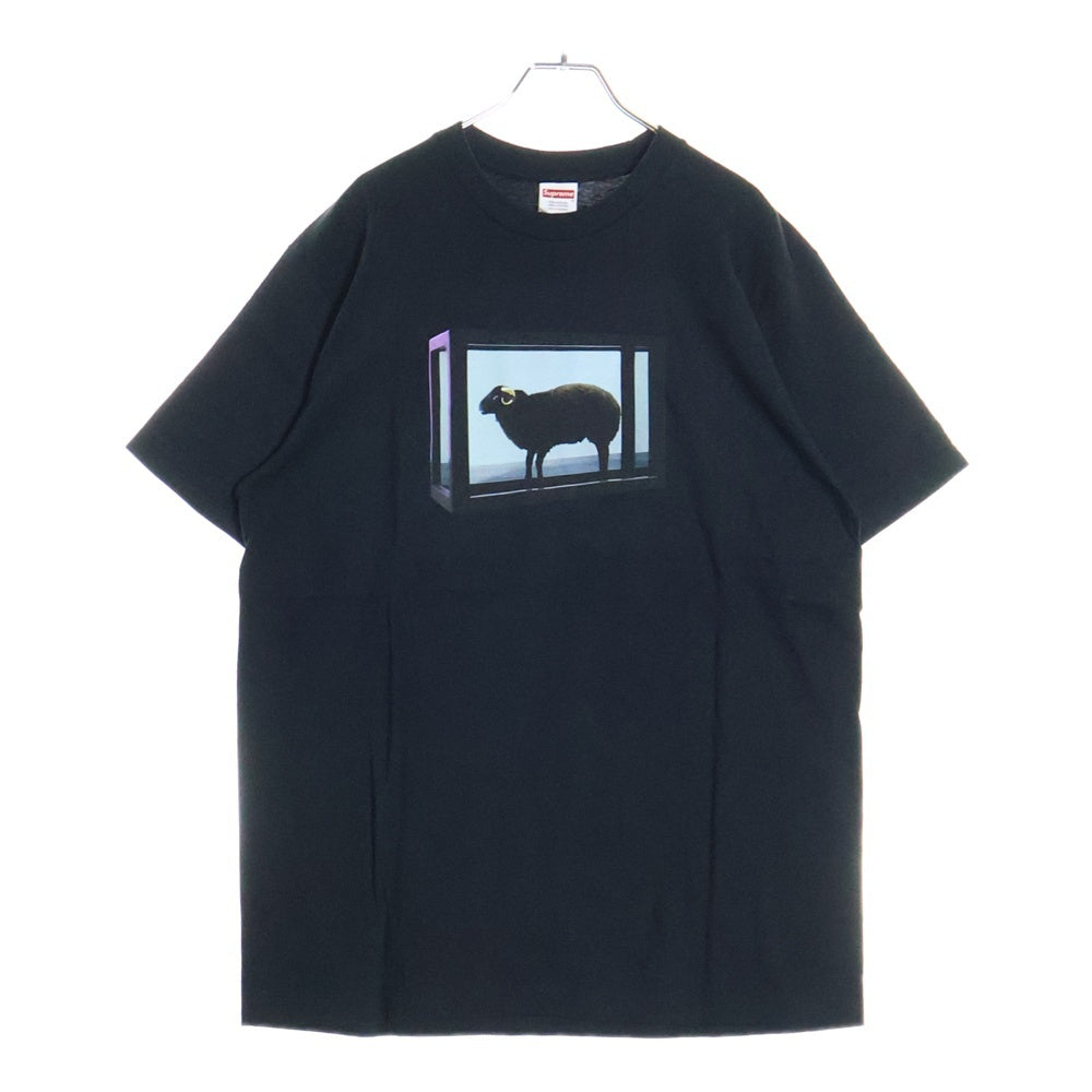 SUPREME(シュプリーム) 25SS Damien Hirst Tee ダミアンハースト プリント 半袖Tシャツ カットソー ブラック