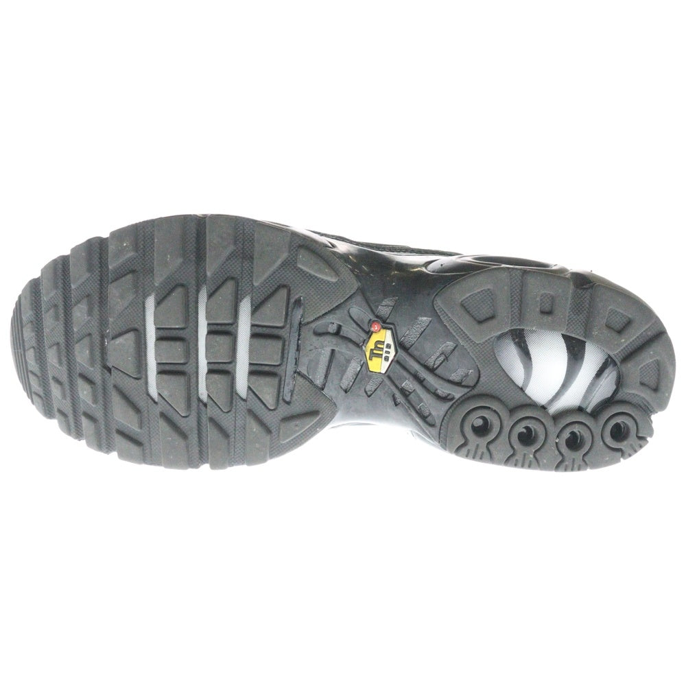 NIKE(ナイキ) AIR MAX PLUS TRIPLE BLACK エアマックスプラス トリプルブラック ローカットスニーカー ブラック US9/27cm 604133-050