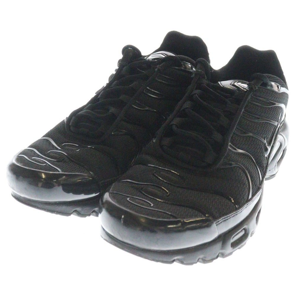 NIKE(ナイキ) AIR MAX PLUS TRIPLE BLACK エアマックスプラス トリプルブラック ローカットスニーカー ブラック US9/27cm 604133-050
