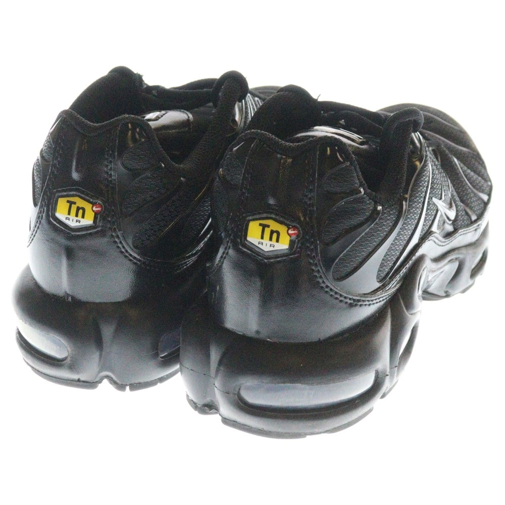 NIKE(ナイキ) AIR MAX PLUS TRIPLE BLACK エアマックスプラス トリプルブラック ローカットスニーカー ブラック US9/27cm 604133-050