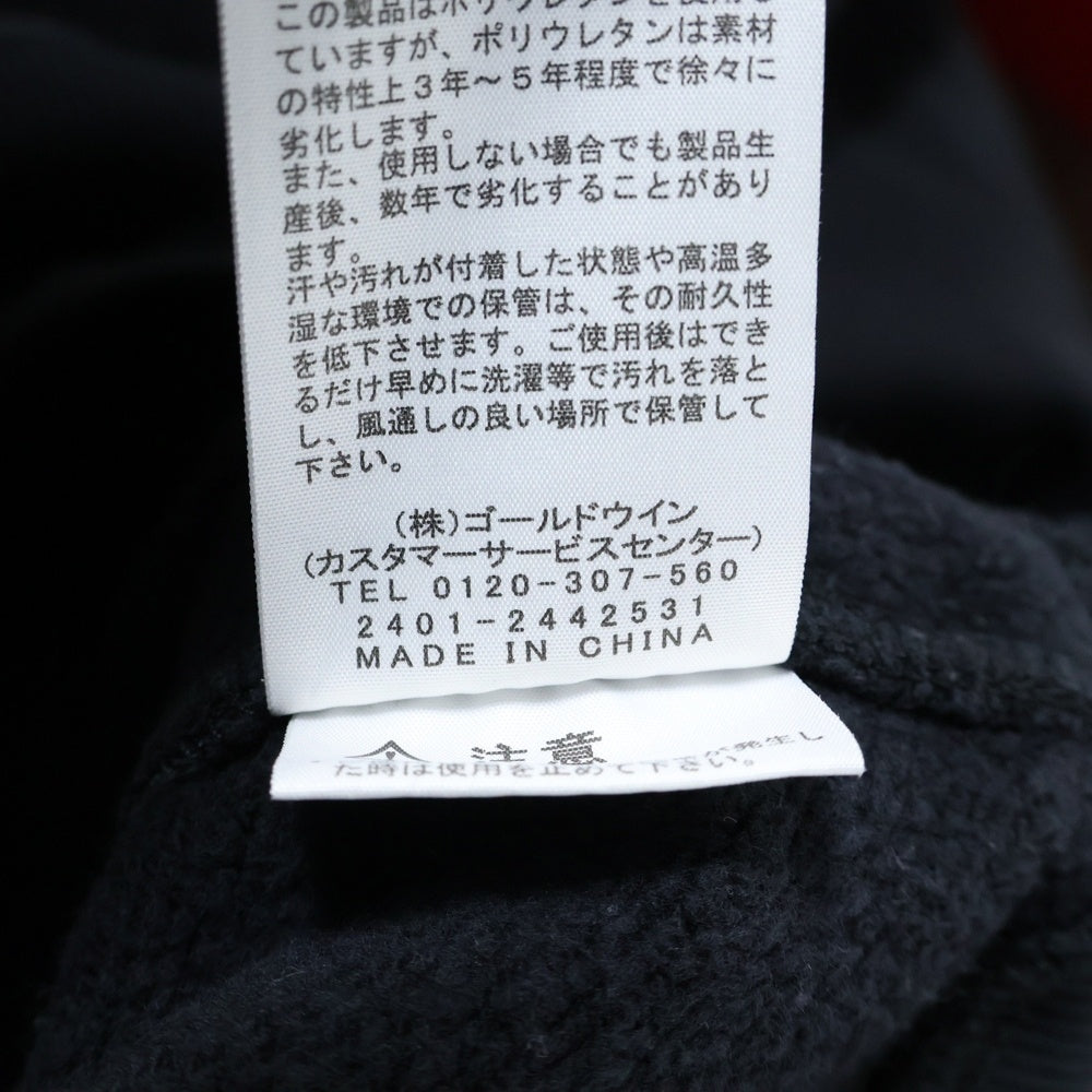 THE NORTH FACE(ザノースフェイス) ROCK STEADY HOODIE ロック ステディ フーディ プルオーバー スウェット パーカー ブラック NT62460