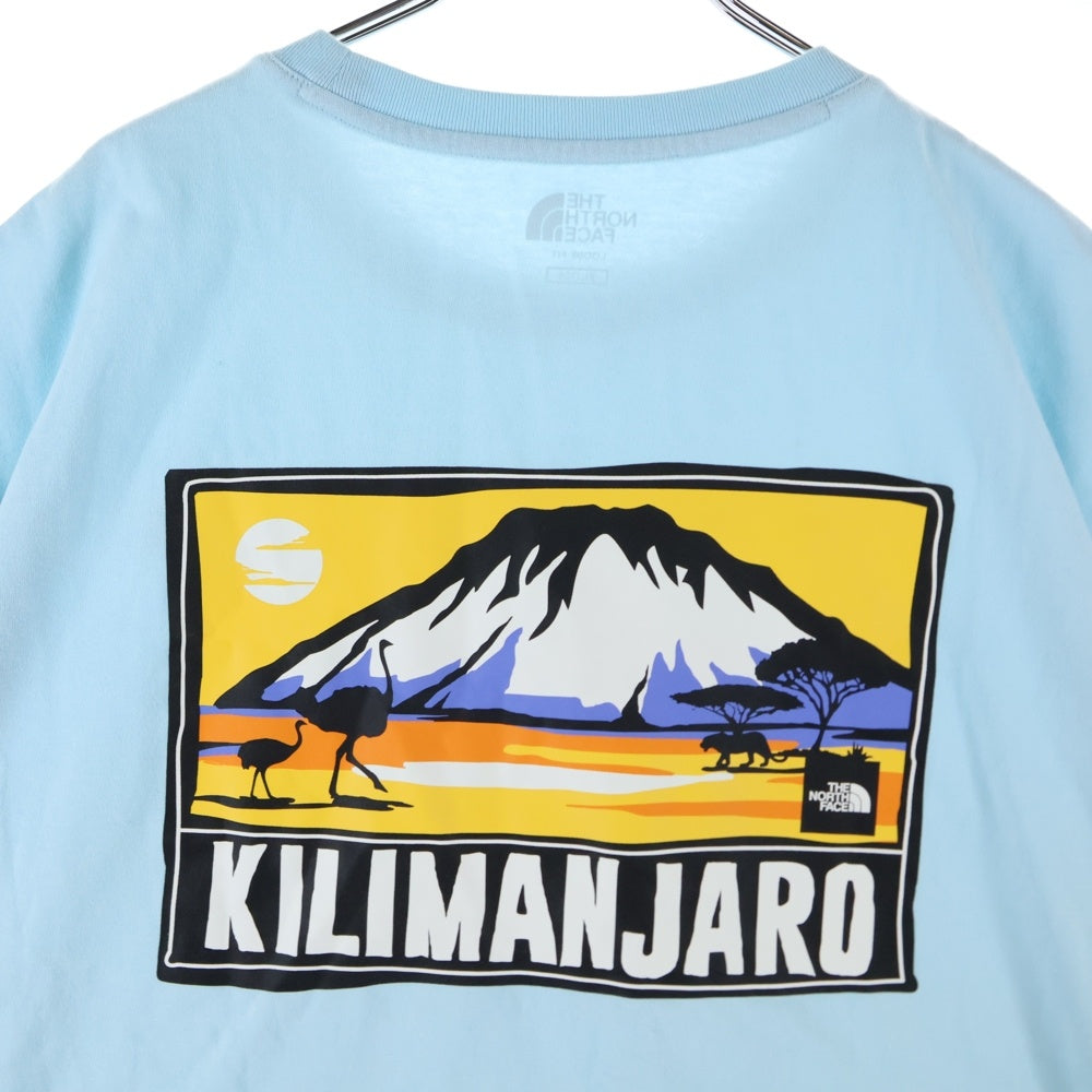 THE NORTH FACE(ザノースフェイス) バックグラフィックプリント ロゴ クルーネック 半袖Tシャツ カットソー ブルー NT7UM13L