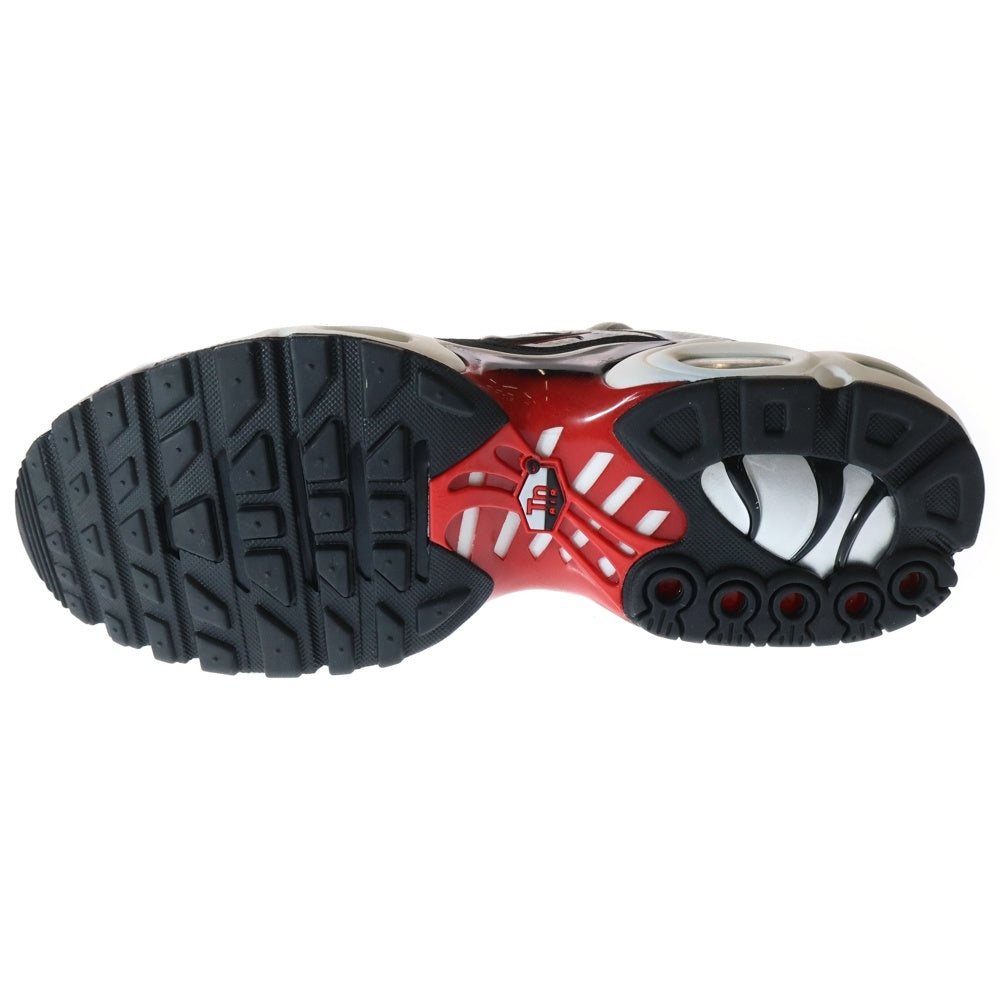 NIKE(ナイキ) AIR MAX PLUS BLACK WHITE UNIVERSITY RED エアマックス プラス ブラック ホワイト ユニバーシティ レッド ローカットスニーカー US10/28cm DM0032-004