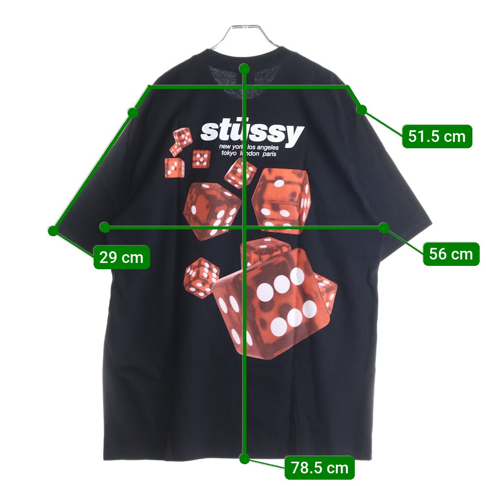 STUSSY(ステューシー) 25SS ROLLERS TEE ローラーズ バックプリント 半袖Tシャツ カットソー ブラック 1905160