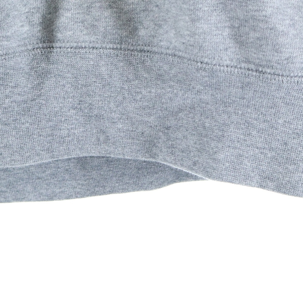 NIKE(ナイキ) JORDAN BRAND AS M J DF SPRT CSVR FLC PO ジョーダン ロゴプリントスウェットプルオーバーパーカー グレー DQ7328-091