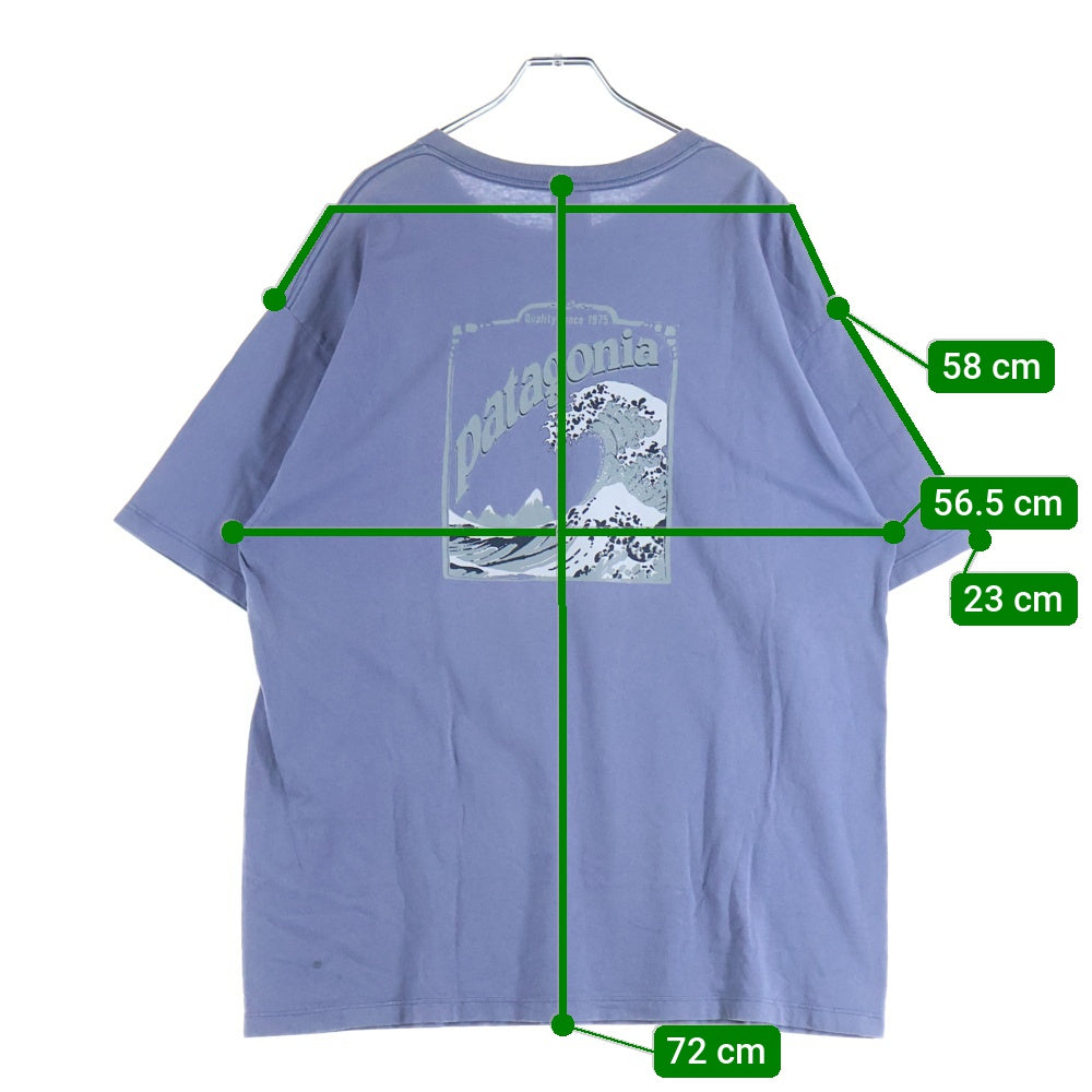 PATAGONIA(パタゴニア) 90S VINTAGE Beneficial T's ヴィンテージ ベネフィカル プリント 半袖Tシャツ カットソー ブルー
