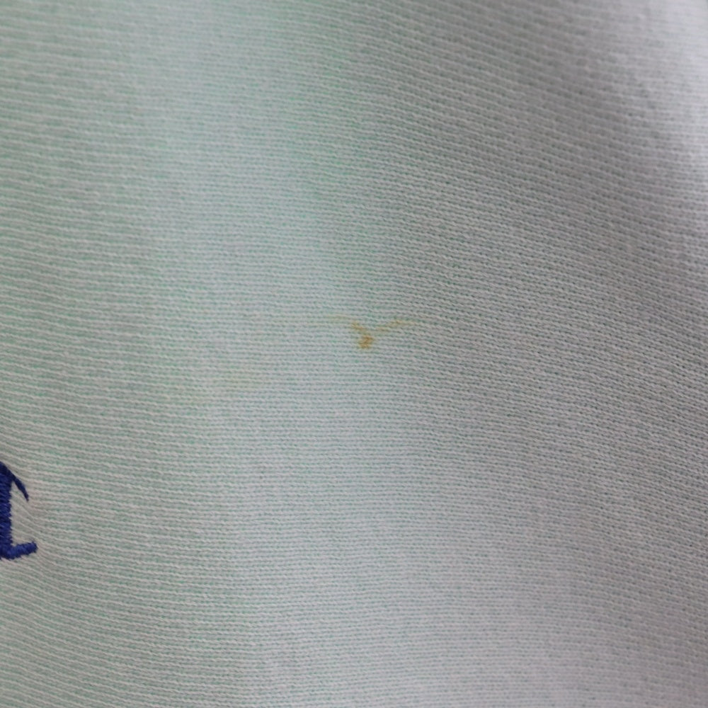 CHAMPION(チャンピオン) 90S VINTAGE REVERSE WEAVE ヴィンテージ リバースウィーブ 刺繍タグ USA製 スウェットトレーナー ミントグリーン