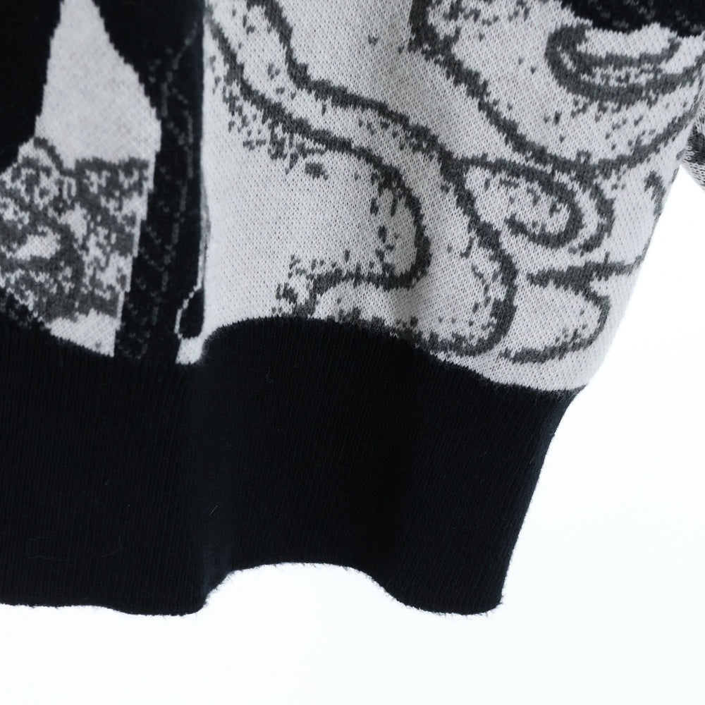 BUDSPOOL(バッズプール) ×GAKKIN 渦軍鶏 COTTON KNIT JACQUARD ガッキン コットン ジャガード クルーネック ニット セーター ホワイト