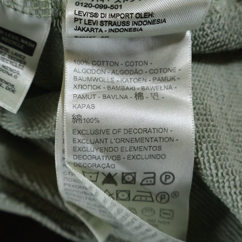 Levi's(リーバイス) RELAXED ロゴ刺繍 リラックスフィット スウェット プルオーバーパーカー ライトグリーン