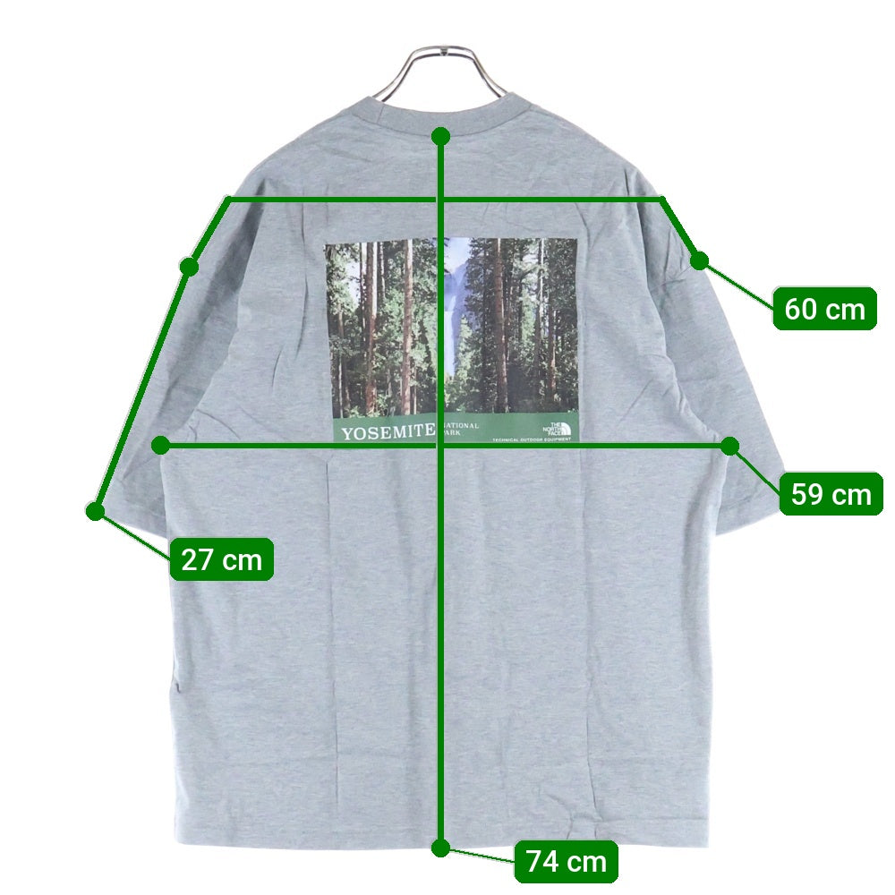 THE NORTH FACE(ザノースフェイス) 胸ロゴデザイン クルーネック カットソー半袖Tシャツ グレー NT32436