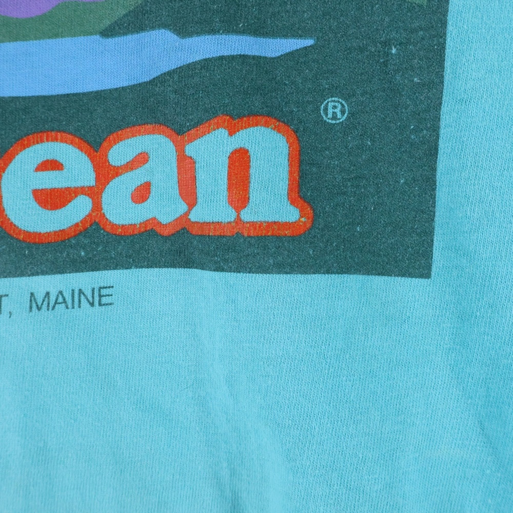 L.L.Bean(エルエルビーン) 80S VINTAGE ヴィンテージ USA製 HANESボディ フロントプリント クルーネック 半袖Tシャツ カットソー ブルー