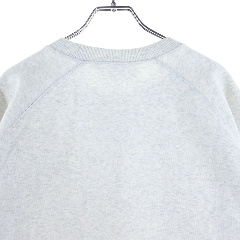 Carhartt WIP(カーハート ダブリューアイピー) CHASE SWEATSHIRT クルーネック スウェットシャツ トレーナー グレー