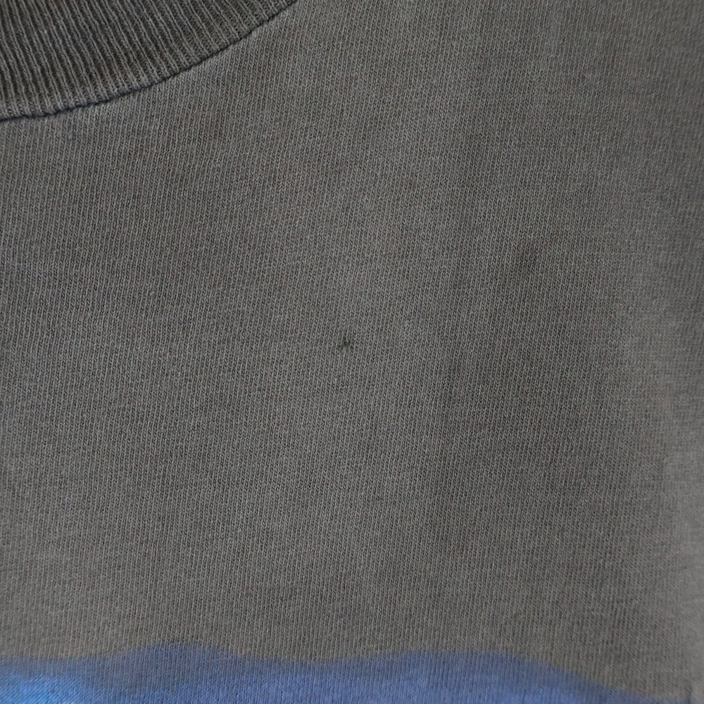 VINTAGE(ヴィンテージ) 90s PINK FLOYD EUROPEAN TOUR 1994 ピンクフロイド 両面プリント 半袖tシャツ ブラック
