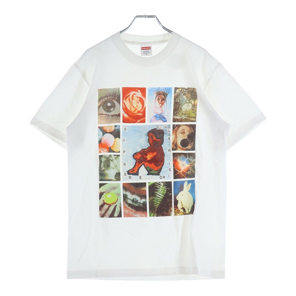 SUPREME(シュプリーム) 19SS Original sin Tee オリジナルシン フロントプリント半袖Tシャツ ホワイト マルチ