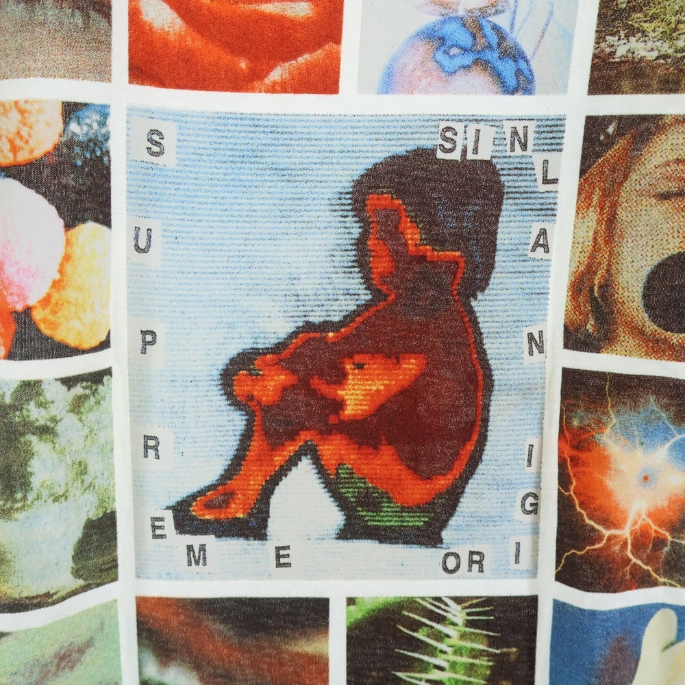SUPREME(シュプリーム) 19SS Original sin Tee オリジナルシン フロントプリント半袖Tシャツ ホワイト マルチ