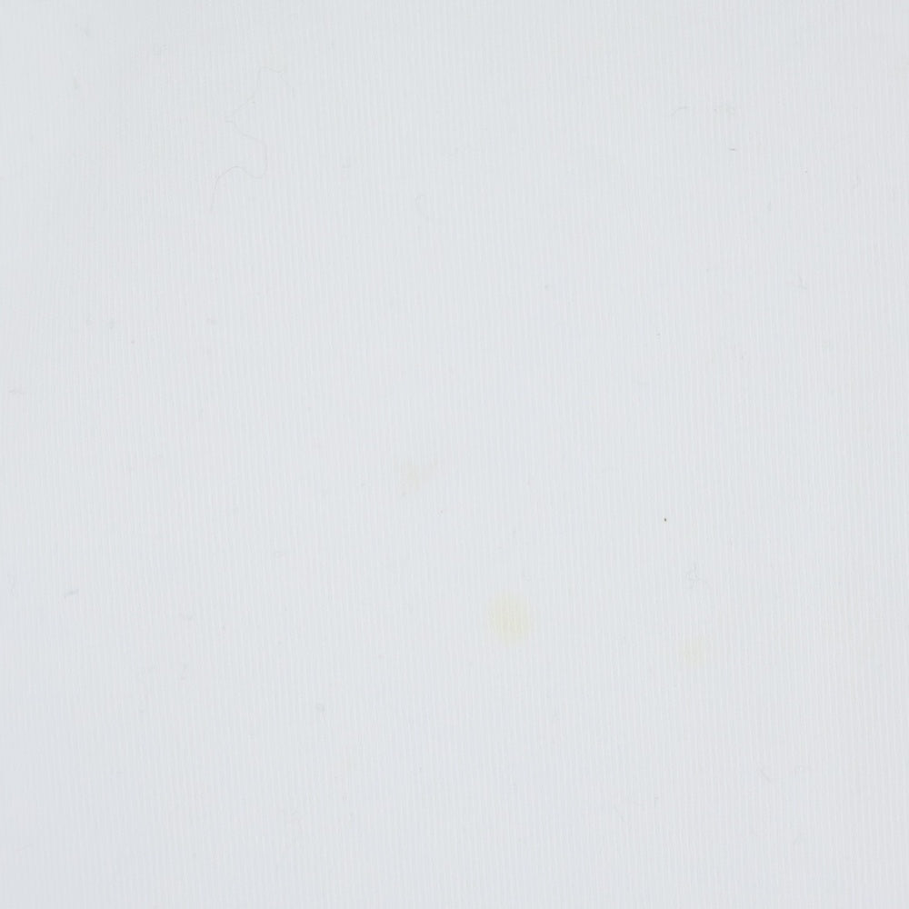 WIND AND SEA(ウィンダンシー) 22SS S/S T-SHIRT ロゴプリント クルーネック 半袖Tシャツ カットソー ホワイト WDS-SEA-22S-02