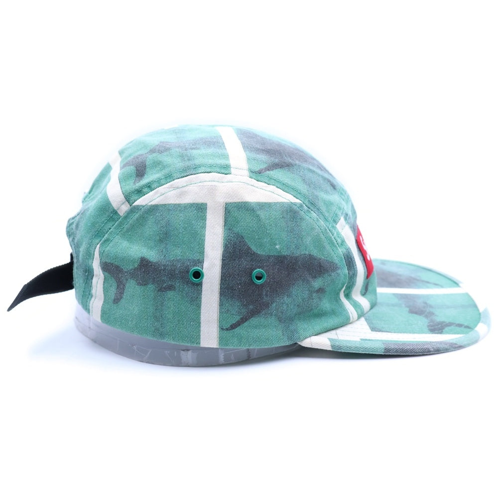 SUPREME(シュプリーム) 25SS ×Damien Hirst Camp Cap ダミアン ハースト キャンプ キャップ 帽子 グリーン