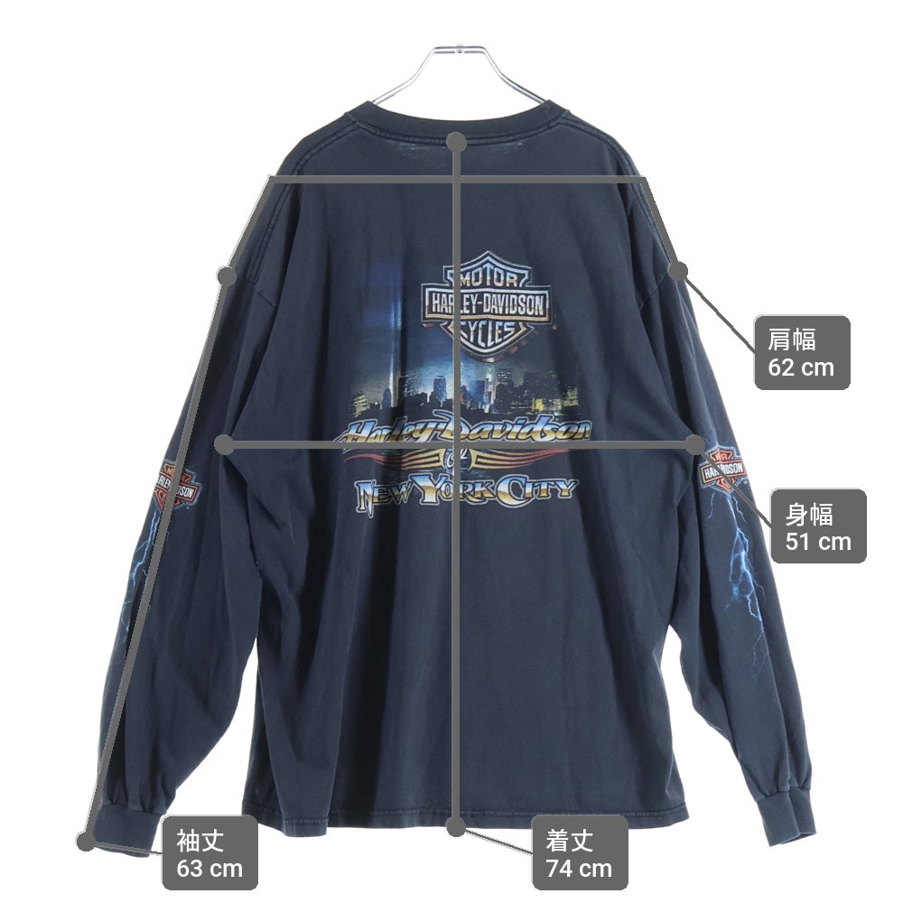 HARLEY DAVIDSON(ハーレーダビッドソン) 00S VINTAGE THUNDER PATTEN 2008 L/S TEE ヴィンテージ アームサンダープリント 両面プリントTシャツ 長袖クルーネックカットソー ブラック
